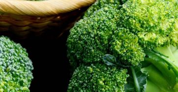 Come conservare i broccoli