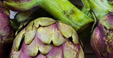 Come conservare i carciofi