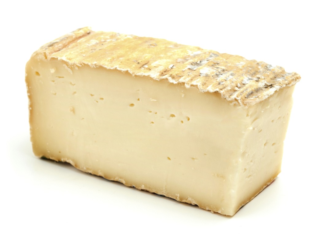 taleggio