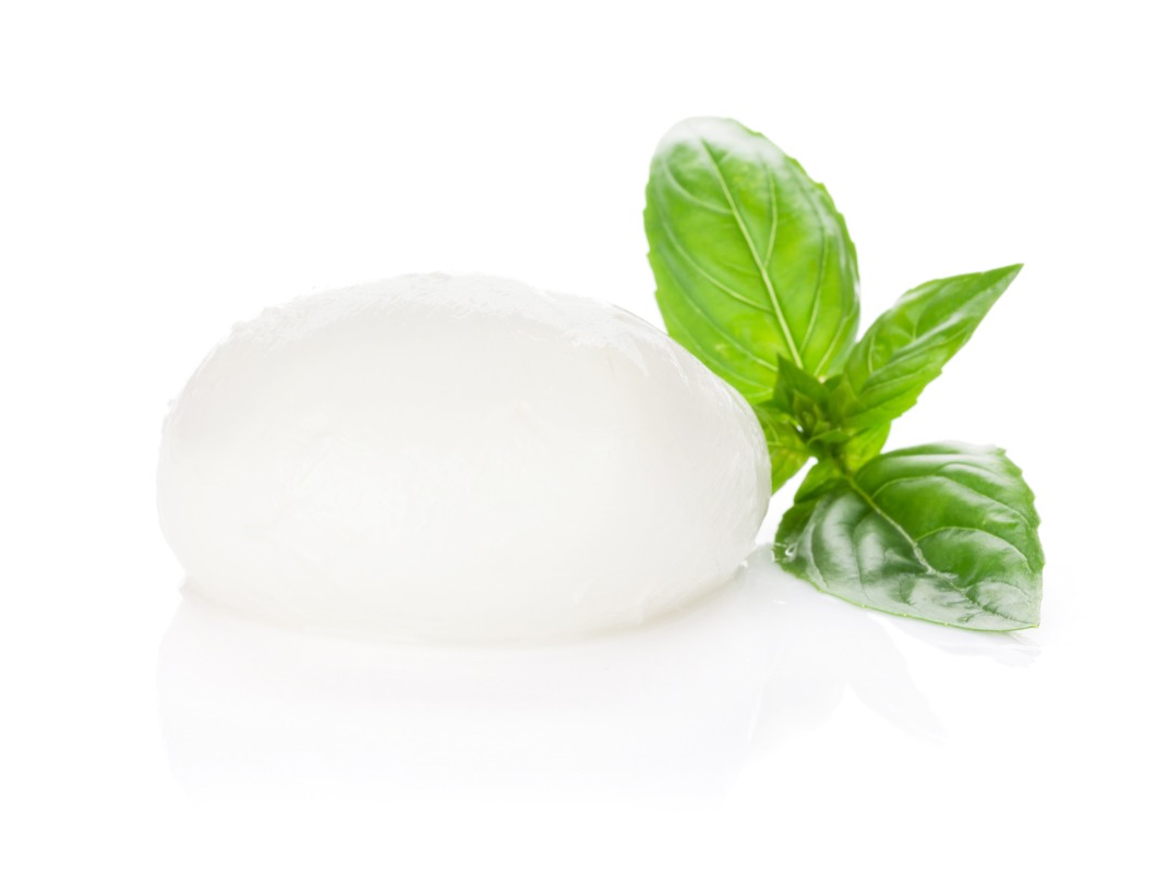 Mozzarella / Fior di Latte