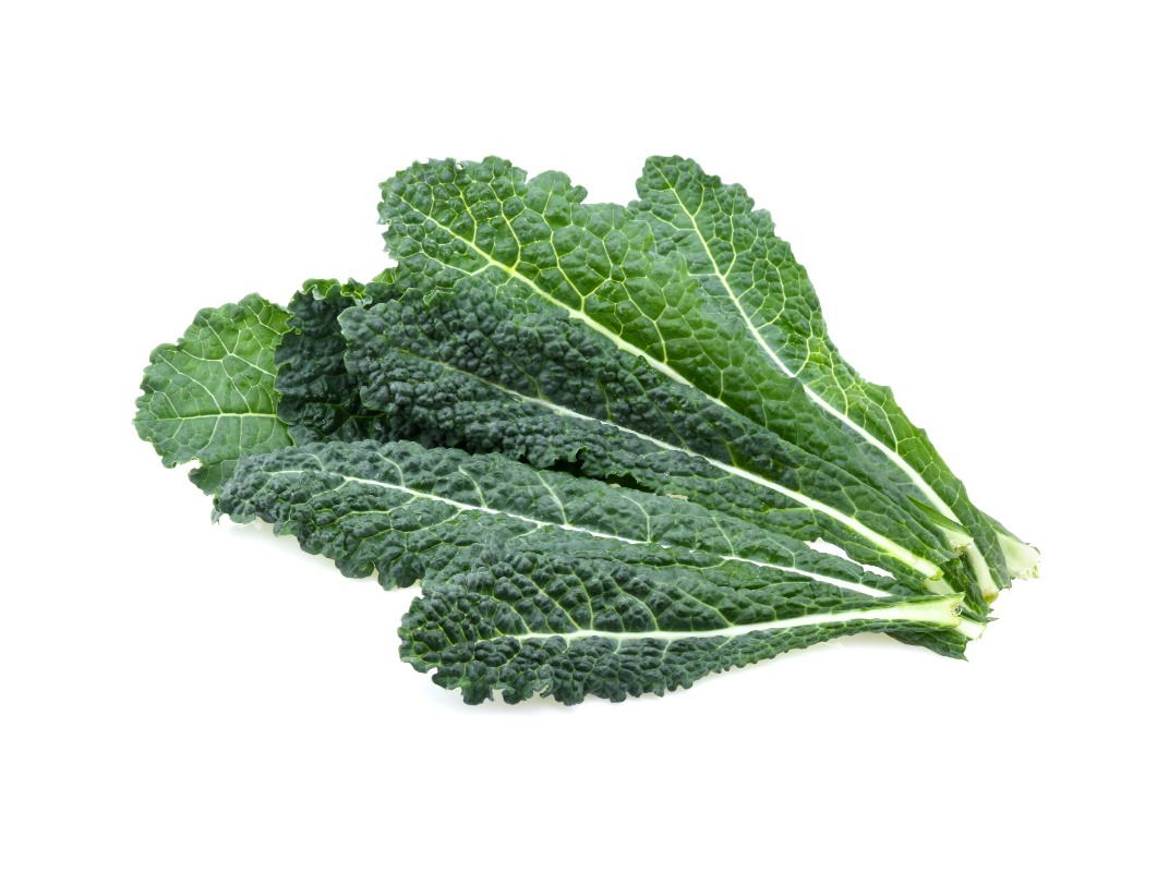 CAVOLO NERO