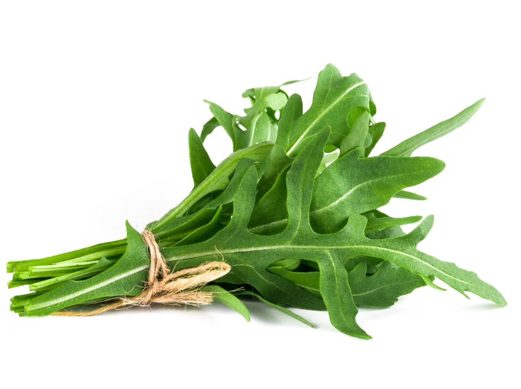 rucola