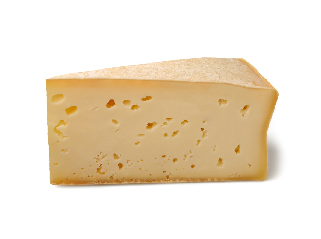 fontina